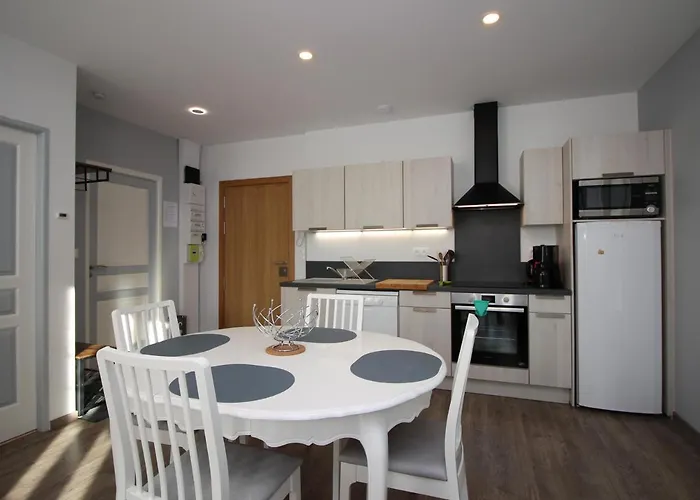 T3 Confortable Avec Parking Et Wifi Au Mont-dore - Fr-1-608-87 Apartamento Mont-Dore