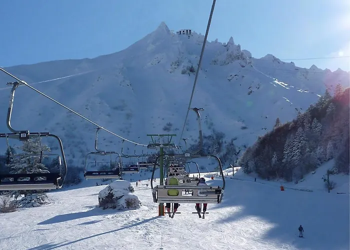 T3 Confortable Avec Parking Et Wifi Au Mont-dore - Fr-1-608-87